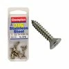 Champion Stainless Steel Self Tapping Countersunk Screws 8g X 11/2